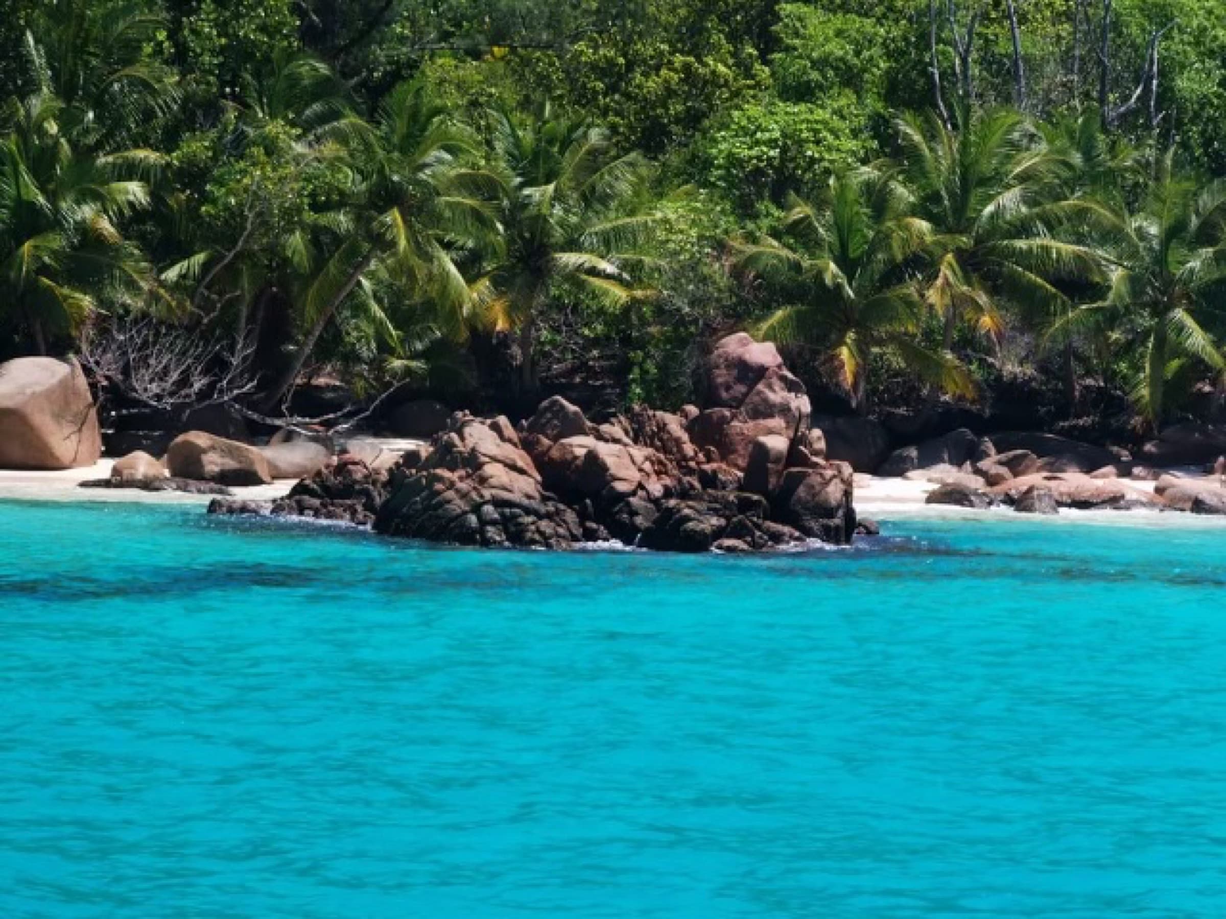 Coconut palms and pink granite over a deserted Seychelles beach