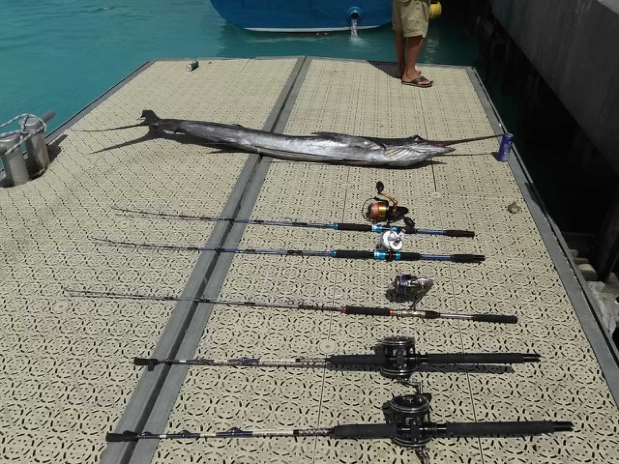 Big game fishing rods, reels and a sailfish on the dock — Seychelles